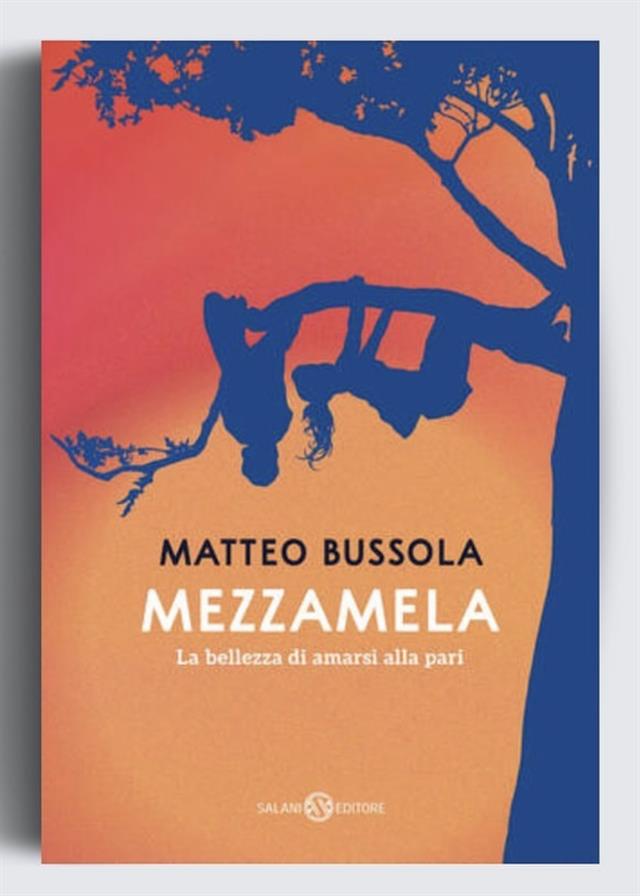 Viola e il Blu — Libro di Matteo Bussola